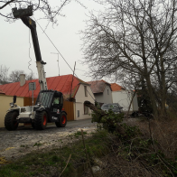 kácení stromu M. Vala2.jpg